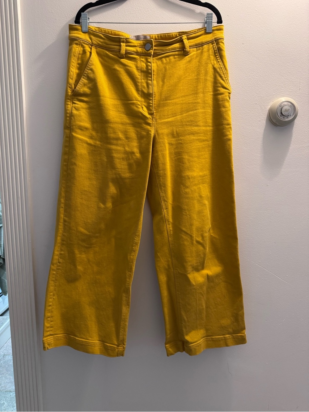 Everlane Organic Cotton Cropped Wide Leg High Rise Pants 14
